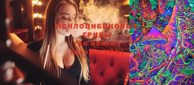 Псилоцибиновые грибы MAGIC MUSHROOMS  что такое   MEGA tor  Нефтекамск 